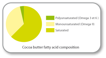 composition du beurre de cacao